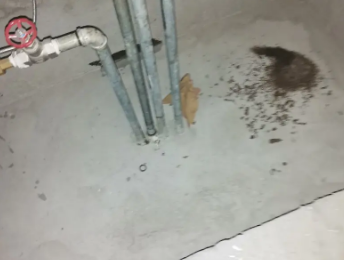 正蓝旗卫生间测漏水价格明细